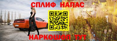 амф Гусь-Хрустальный