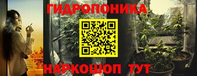 амф Гусь-Хрустальный